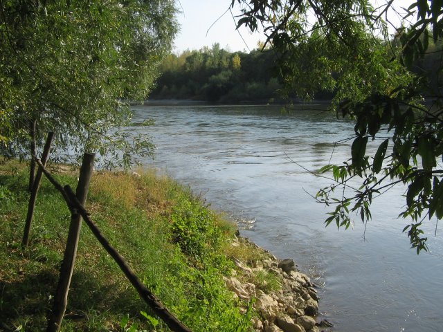 finnek 2011 015